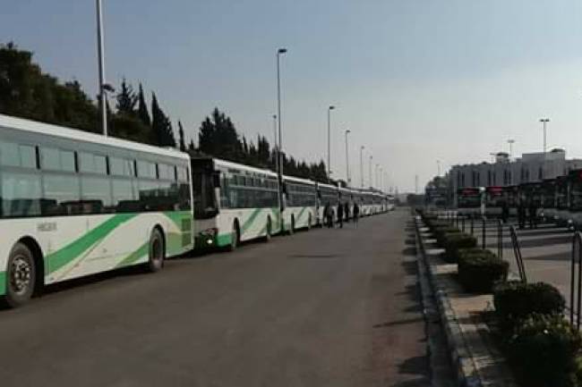 وصول 50 باص جديد وبدء عملها على الخطوط خلال أيام 