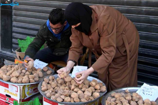  أسعار الكمأة تنخفض من 20 ألف ليرة للكيلو إلى إلى 3000 ليرة بدمشق و1500 ليرة في حلب!