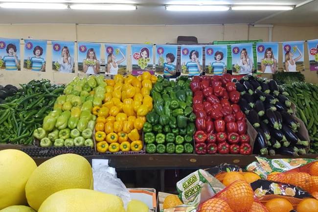 تعرفوا على أسعار المواد الغذائية والخضار والفواكه واللحوم بدمشق اليوم 