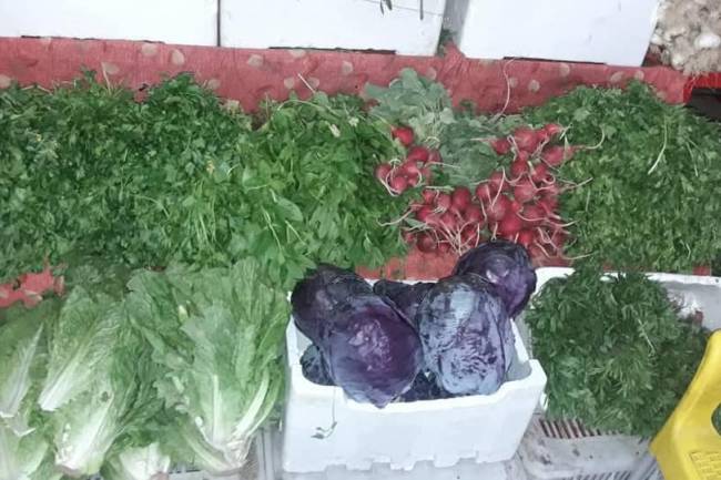 أسعار الحشائش ترتفع وتكلفة طبق الفتوش تصل إلى 1,000 ل.س