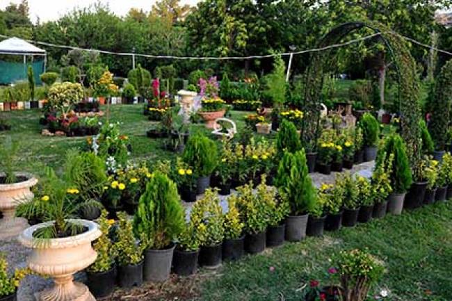 افتتاح معرض الزهور بمشاركة 55 عارض من سورية وخارجها