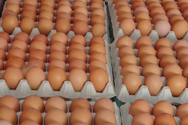 أسعار البيض تتراجع مع عزوف المواطنين عن الشراء 
