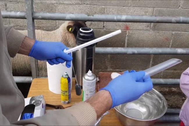 وزارة الزراعة : صادرات الأدوية البيطرية تضاعفت العام الماضي لتتجاوز 4.3 مليون دولار