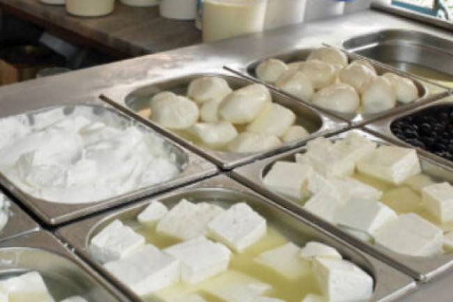 تقنين الكهرباء يغلق 25 بالمئة من ورش ومحلات الأجبان والألبان والنسبة قابلة للتضاعف 