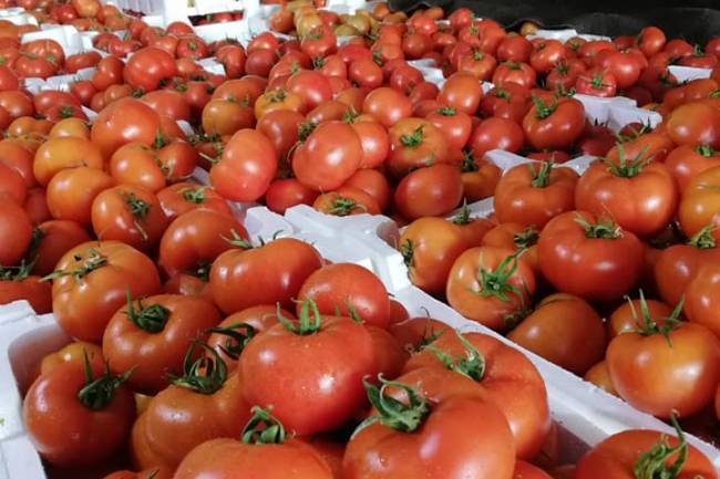 لجنة سوق الهال بدمشق : ارتفاع أسعار الخضار بأكثر من 30% نتيجة الصقيع والثلوج 