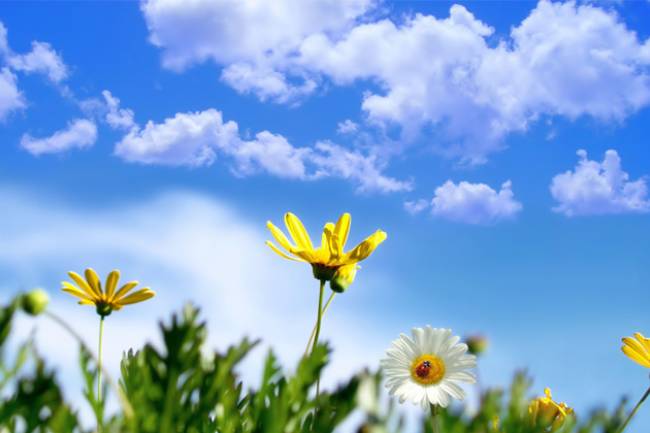 سورية تودع غداً آخر موجة حر أربعينية 