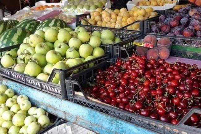 تصدير الفواكه ينتعش 110 برادات إلى دول الخليج في أسبوع