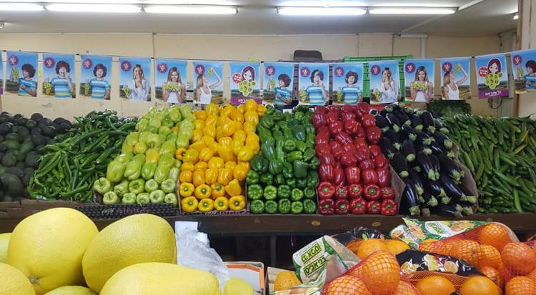 تعرفوا على أسعار المواد الغذائية والخضار والفواكه واللحوم بدمشق اليوم 