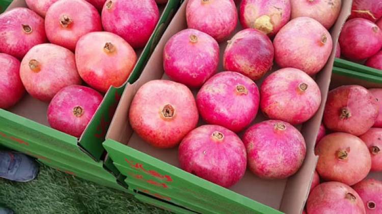 نحو 30 شاحنة بضائع سورية تدخل العراق يومياً حمولتها الأكبر من الرمان 