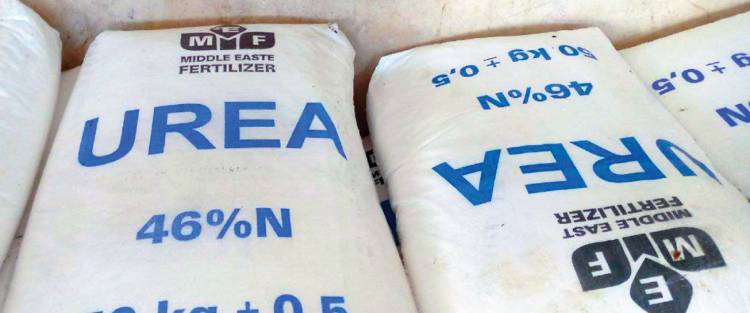 توقيع عقد مقايضة لتأمين 50 ألف طن من سماد اليوريا والسعر سيرتفع إلى 5 ملايين ليرة للطن الواحد